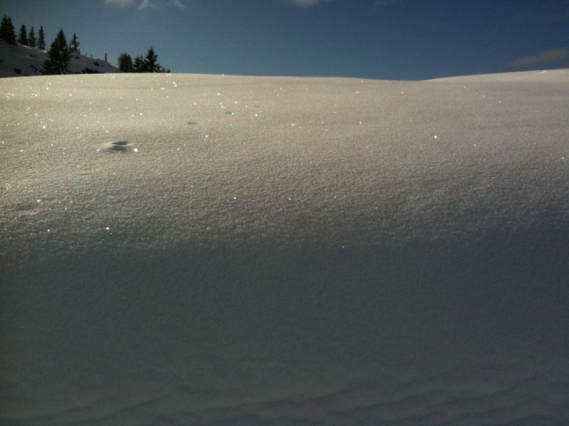  万岁霞慕尼的粉雪